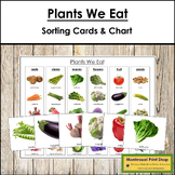 Plants We Eat Sorting Cards & Control Chart