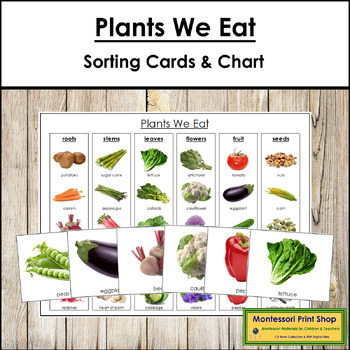 Preview of Plants We Eat Sorting Cards & Control Chart