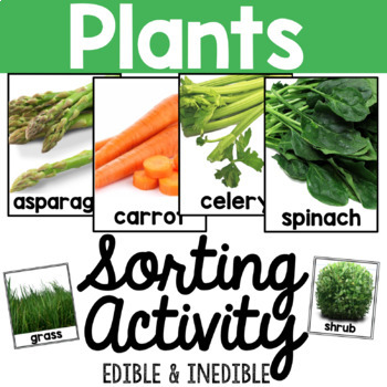 Preview of Plants We Eat vs. Don't Eat Sorting Activity