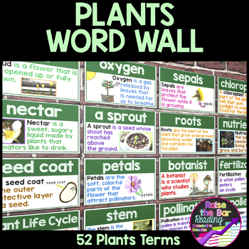 Preview of Plants Word Wall ~ Plants Posters or Flashcards for 52 Plants Vocabulary Terms