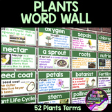 Plants Word Wall ~ Plants Posters or Flashcards for 52 Pla