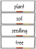 Plants Word Wall and Vocabulary Activities Set