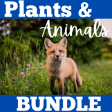 Plants and Animals | Worksheets Activities Kindergarten 1s