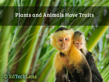 Preview of Plants and Animals Have Traits Distance Learning PDF