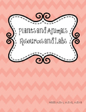 Plants and Animals Labs