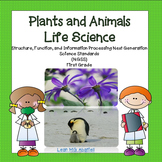 Plants and Animals - Life Science NGSS