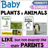 Plants and Animals Look Like Parents but Not Exactly Hered