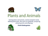 Plants and Animals Packet
