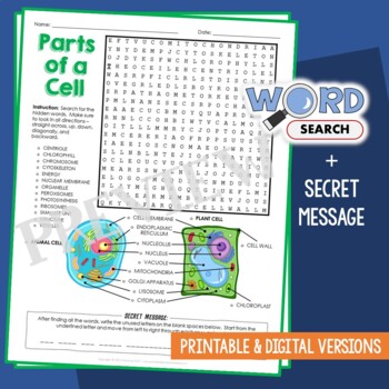 Preview of Parts of Plant & Animal Cell Word Search Organelle Structure Vocabulary Activity
