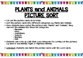 Plants and Animals Picture Sort - Living Things