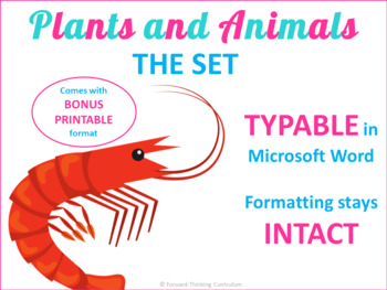 Preview of Plants and Animals: Kindergarten and First Grade Science Distance Learning