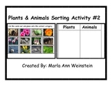 Plants and Animals Sorting Activity #2