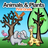 Plants and Animals Structure and Survival: A NGSS Science Unit