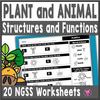 Preview of Plants and Animals Structures Function & Characteristics Worksheets 1st Grade