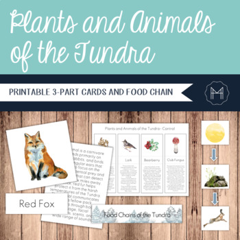 Preview of Plants and Animals of the Tundra- 3-Part Cards and Food Chains