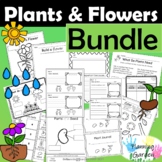Plant Needs | Parts of a Flower | Life Cycle: Plants and F