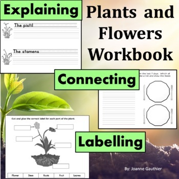 Preview of Plants and Flowers: Workbook