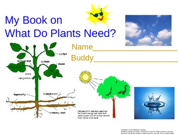 Preview of Plants and How They Make Food Unit