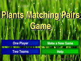 Plants and Photosynthesis Interactive Matching Pairs Game