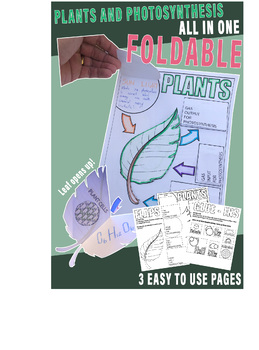 Preview of Plants and Photosynthesis all-in-one Foldable