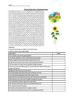 Preview of Plants and Plant Cells - Word Search Puzzle Worksheet Activity (Printable)