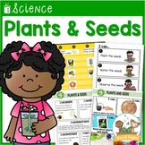 Plants and Seeds Science Centers for Pre-K and Preschool