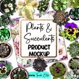 Plants and Succulents Mock-up png images
