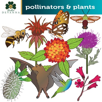 Preview of Plants and their Pollinators Clip Art Set