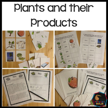 Preview of Plants and their products and uses