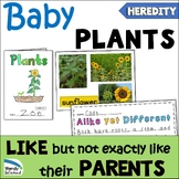 Plants are Like but not Exactly Like their Parents Science