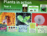 Plants in Action- Primary Connections Biological Science- 