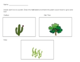 Plants in Different Enviornments/Habitats