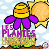 Plants in FRENCH - Les plantes