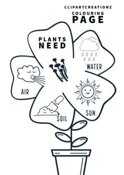 Preview of Plants need coloring clipart