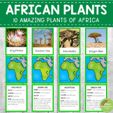Plants of Africa Montessori 3 Part Cards