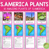 Plants of South America Montessori 3 Part Cards