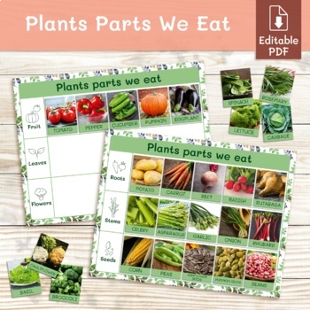 Preview of Plants parts we eat. Montessori matching material