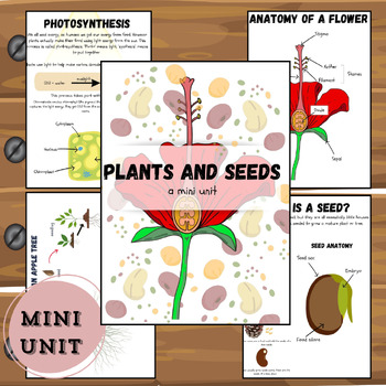 Preview of Plants + seeds mini unit study including pollination, anatomy, photosynthesis