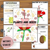 Plants + seeds mini unit study including pollination, anat