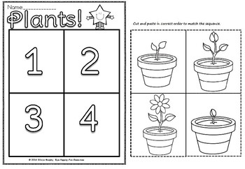 Plants sequence by Silviya V Murphy | Teachers Pay Teachers