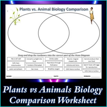 Plants vs Animals Biology Comparison Worksheet Activity Printable