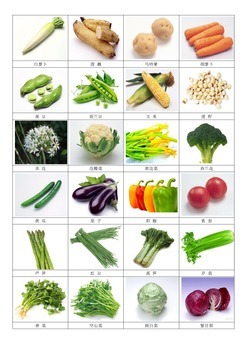 Preview of Plants we eat-Chinese 3partcards-Vegetables