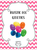 Plastic Egg (Easter Egg) Genetics - Incomplete Dominance