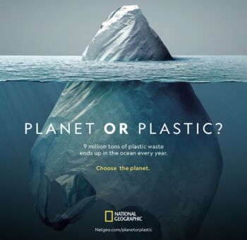 Preview of Plastic Pollution Lesson Plan