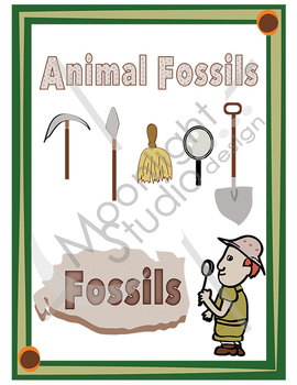 Preview of Plant and Animal Fossil Clip Art Bundle