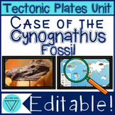 Plate Tectonics Activities - MS-ESS2-3 Plate Boundaries Ea