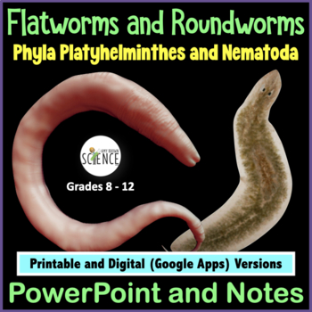 Preview of Phylum Platyhelminthes and Nematoda Flatworms Roundworms PowerPoint and Notes