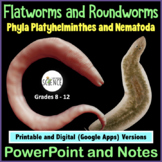 Phylum Platyhelminthes and Nematoda Flatworms Roundworms P