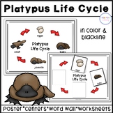 Platypus Life Cycle Activities