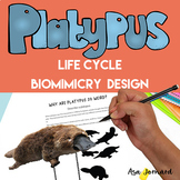 Platypus Project | Life Cycle | Biomimicry Design Activiti